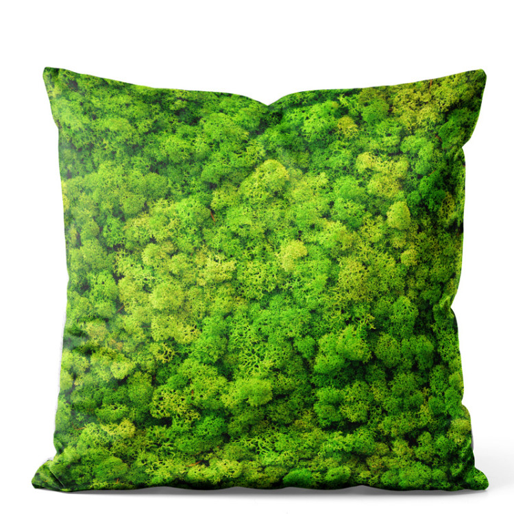 Decorative Velor Pillow Forest carpet - a floral composition with rich moss detail 147056