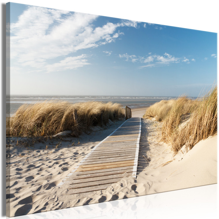 Large canvas print Beach Pathway [Large Format] 150756 additionalImage 2