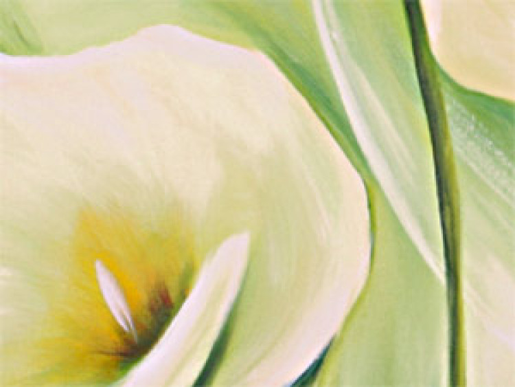Canvas Print Callas (1-piece) - delicate flower bouquet 46556 additionalImage 3