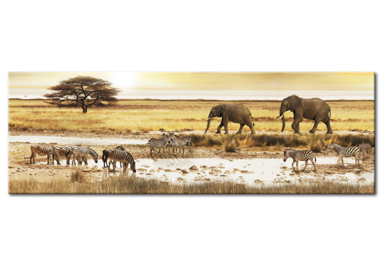 Canvas Art Print Africa: at the waterhole 58556