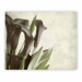 Wall Mural Dark purple calla lilies - old paper background  60456 additionalThumb 1