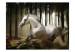 Wall Mural White chase 61256 additionalThumb 1