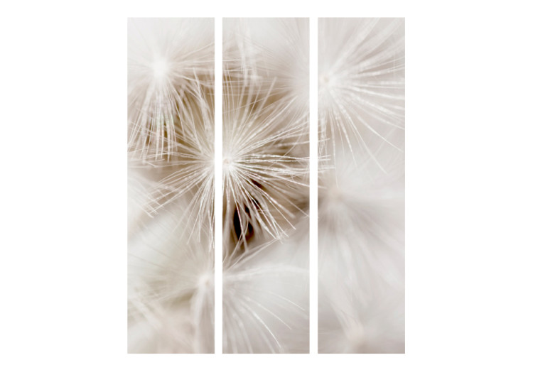 Folding Screen Subtlety - dandelion flowers on a light background in a romantic motif 95556 additionalImage 3