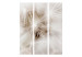 Folding Screen Subtlety - dandelion flowers on a light background in a romantic motif 95556 additionalThumb 3