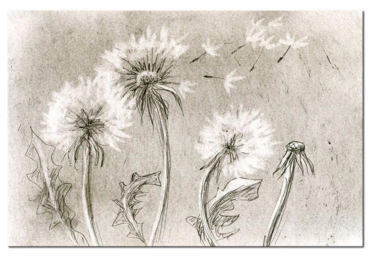 Canvas Dandelions (Pencil Artwork) 97956
