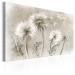 Canvas Dandelions (Pencil Artwork) 97956 additionalThumb 2