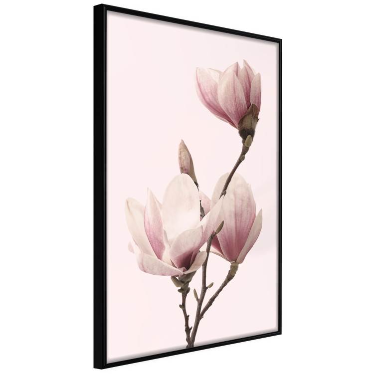 Gallery wall Magnolias 124774 additionalImage 5