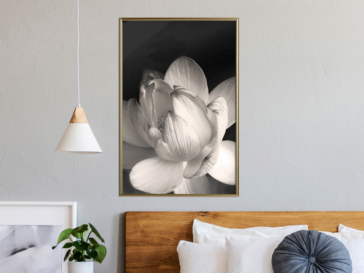 Poster White Subtlety - composition with a light flower on a deep black background 117766 additionalImage 12