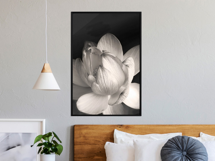 Poster White Subtlety - composition with a light flower on a deep black background 117766 additionalImage 9