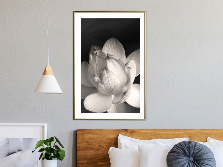 Poster White Subtlety - composition with a light flower on a deep black background 117766 additionalImage 13