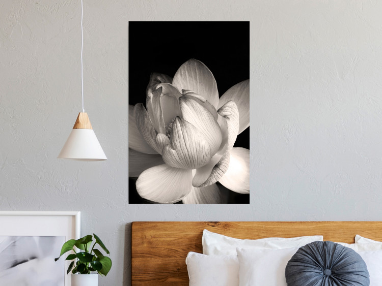 Poster White Subtlety - composition with a light flower on a deep black background 117766 additionalImage 17