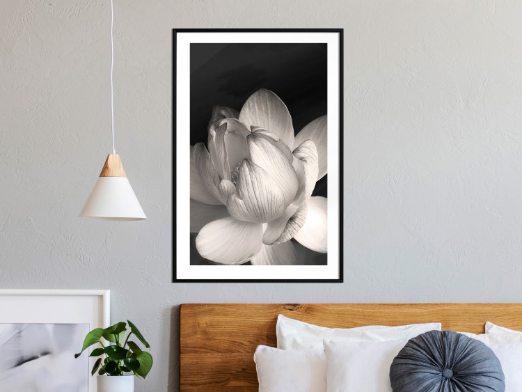 Poster White Subtlety - composition with a light flower on a deep black background 117766 additionalImage 10