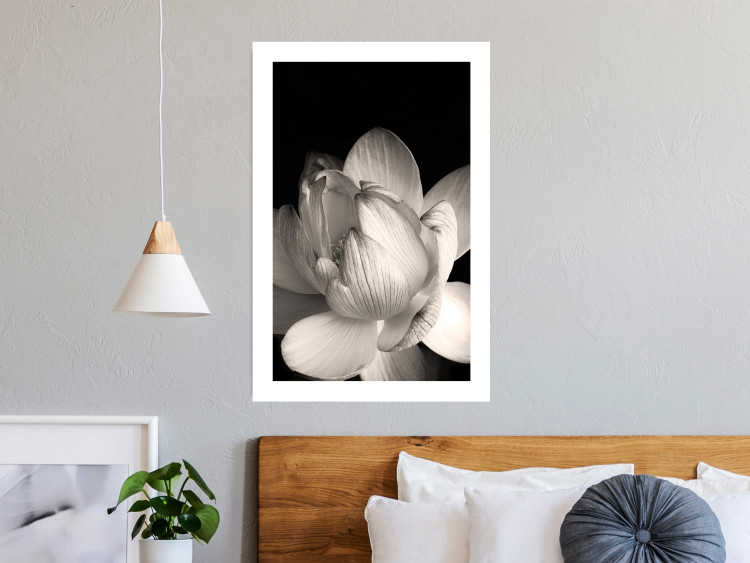 Poster White Subtlety - composition with a light flower on a deep black background 117766 additionalImage 11