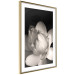 Poster White Subtlety - composition with a light flower on a deep black background 117766 additionalThumb 5