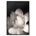 Poster White Subtlety - composition with a light flower on a deep black background 117766 additionalThumb 18