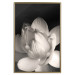 Poster White Subtlety - composition with a light flower on a deep black background 117766 additionalThumb 16
