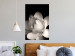 Poster White Subtlety - composition with a light flower on a deep black background 117766 additionalThumb 17