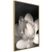 Poster White Subtlety - composition with a light flower on a deep black background 117766 additionalThumb 2