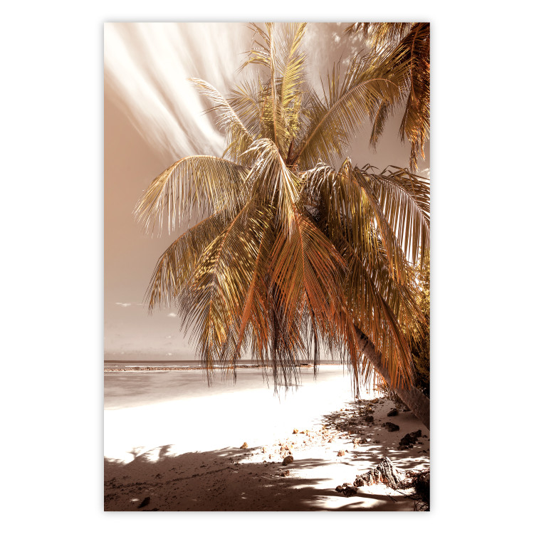 Poster Palm Shade - tropical palm landscape against beach backdrop in sepia motif 123766