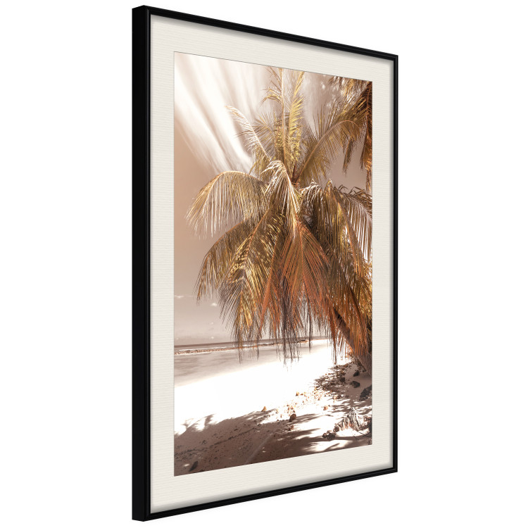 Poster Palm Shade - tropical palm landscape against beach backdrop in sepia motif 123766 additionalImage 3