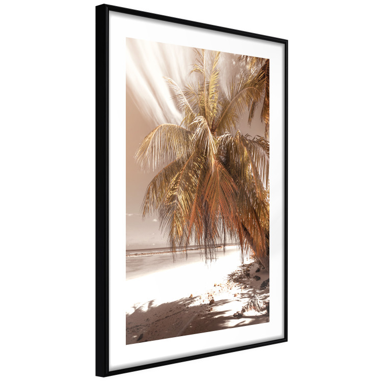 Poster Palm Shade - tropical palm landscape against beach backdrop in sepia motif 123766 additionalImage 13
