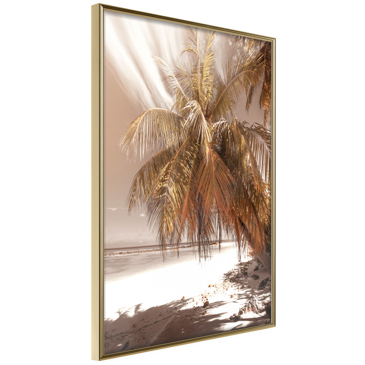 Poster Palm Shade - tropical palm landscape against beach backdrop in sepia motif 123766 additionalImage 12