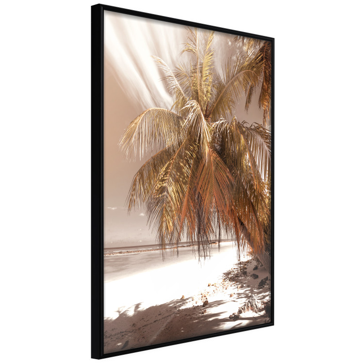 Poster Palm Shade - tropical palm landscape against beach backdrop in sepia motif 123766 additionalImage 10