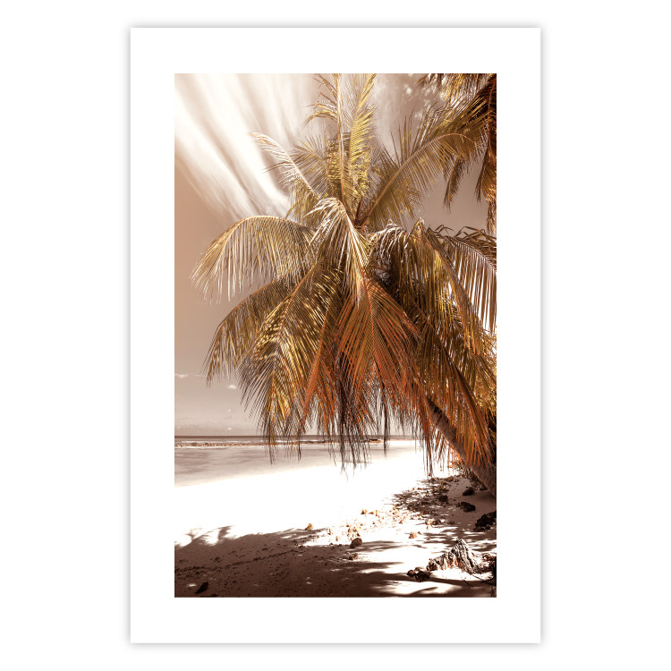 Poster Palm Shade - tropical palm landscape against beach backdrop in sepia motif 123766 additionalImage 15