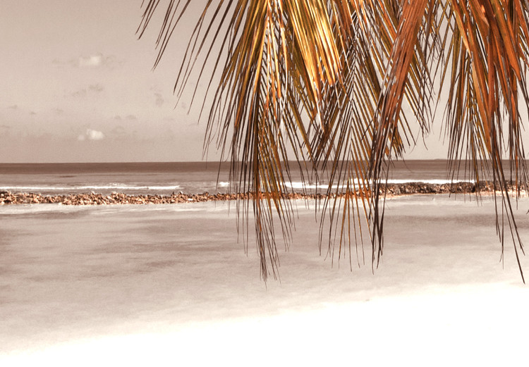 Poster Palm Shade - tropical palm landscape against beach backdrop in sepia motif 123766 additionalImage 8