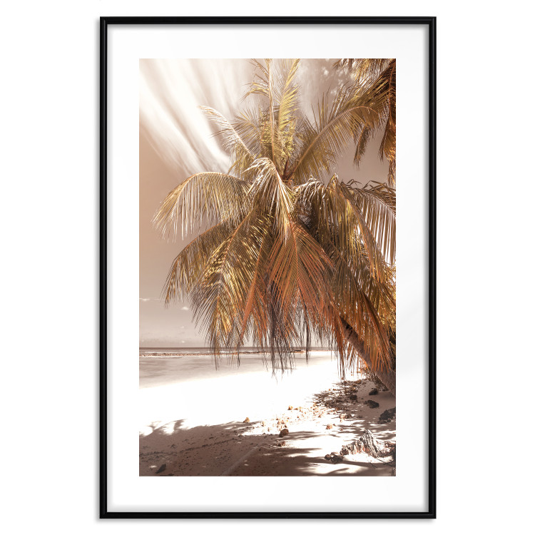 Poster Palm Shade - tropical palm landscape against beach backdrop in sepia motif 123766 additionalImage 18