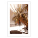 Poster Palm Shade - tropical palm landscape against beach backdrop in sepia motif 123766 additionalThumb 15