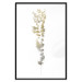 Poster Golden Branch - golden-gray plant on a contrasting white background 125366 additionalThumb 25