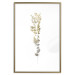 Poster Golden Branch - golden-gray plant on a contrasting white background 125366 additionalThumb 17
