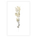 Poster Golden Branch - golden-gray plant on a contrasting white background 125366 additionalThumb 26