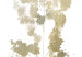 Poster Golden Branch - golden-gray plant on a contrasting white background 125366 additionalThumb 11