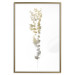 Poster Golden Branch - golden-gray plant on a contrasting white background 125366 additionalThumb 27