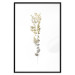 Poster Golden Branch - golden-gray plant on a contrasting white background 125366 additionalThumb 18
