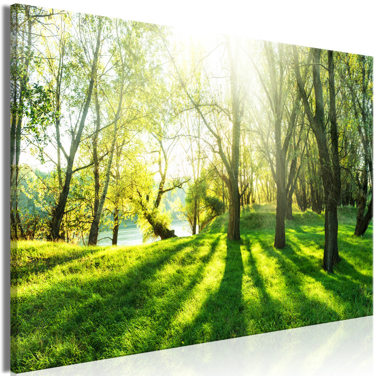 Large canvas print Rays of Sunshine [Large Format] 128666 additionalImage 2
