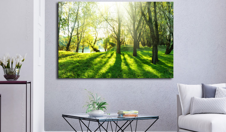 Large canvas print Rays of Sunshine [Large Format] 128666 additionalImage 5