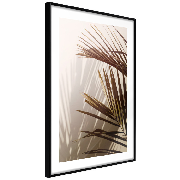 Poster Rhythmic Tones: Sepia - summer composition with tropical palm leaves 129466 additionalImage 6
