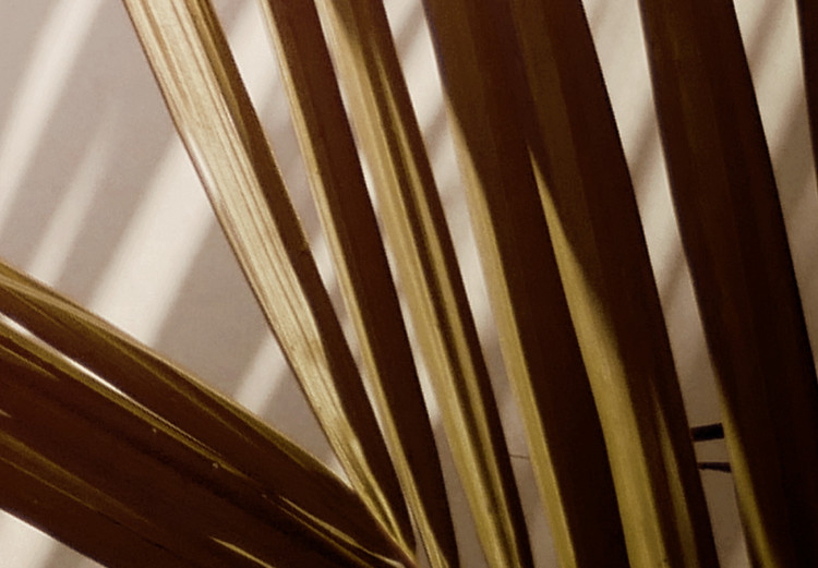 Poster Rhythmic Tones: Sepia - summer composition with tropical palm leaves 129466 additionalImage 10