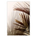 Poster Rhythmic Tones: Sepia - summer composition with tropical palm leaves 129466