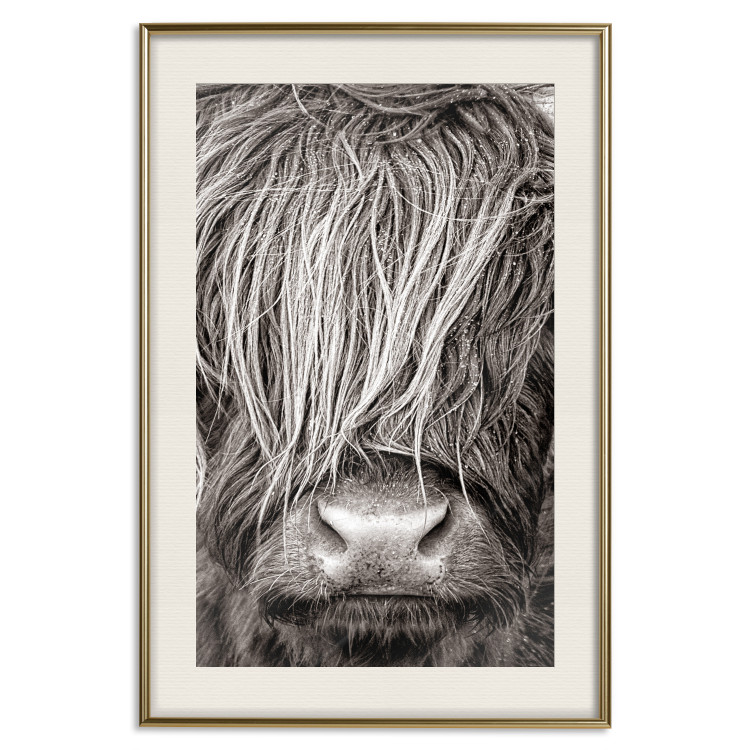 Poster Face to Face with Nature - black and white portrait of an animal with hair 130266 additionalImage 20