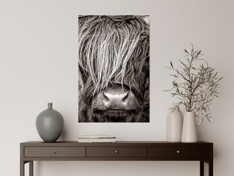 Poster Face to Face with Nature - black and white portrait of an animal with hair 130266 additionalImage 4