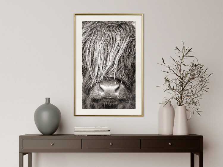 Poster Face to Face with Nature - black and white portrait of an animal with hair 130266 additionalImage 22