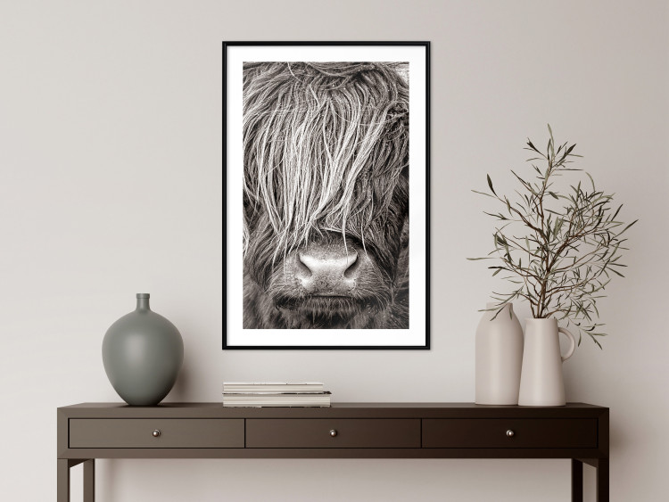 Poster Face to Face with Nature - black and white portrait of an animal with hair 130266 additionalImage 18