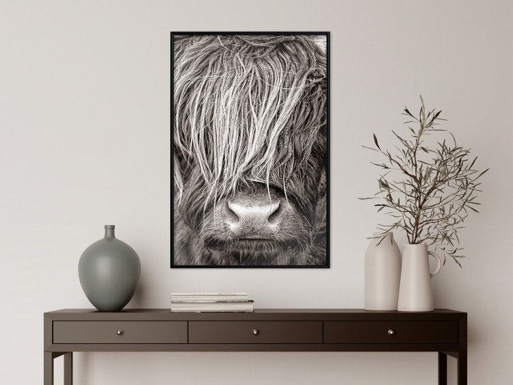 Poster Face to Face with Nature - black and white portrait of an animal with hair 130266 additionalImage 4