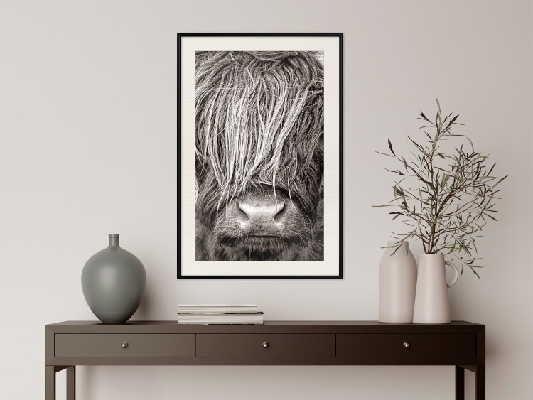 Poster Face to Face with Nature - black and white portrait of an animal with hair 130266 additionalImage 24
