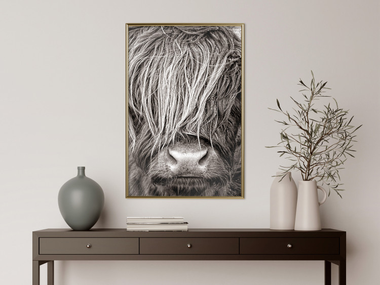 Poster Face to Face with Nature - black and white portrait of an animal with hair 130266 additionalImage 7