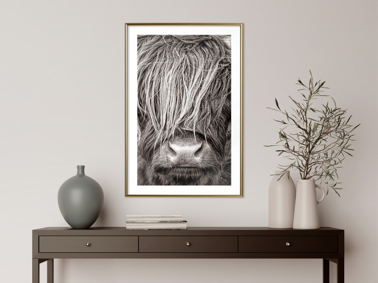 Poster Face to Face with Nature - black and white portrait of an animal with hair 130266 additionalImage 13